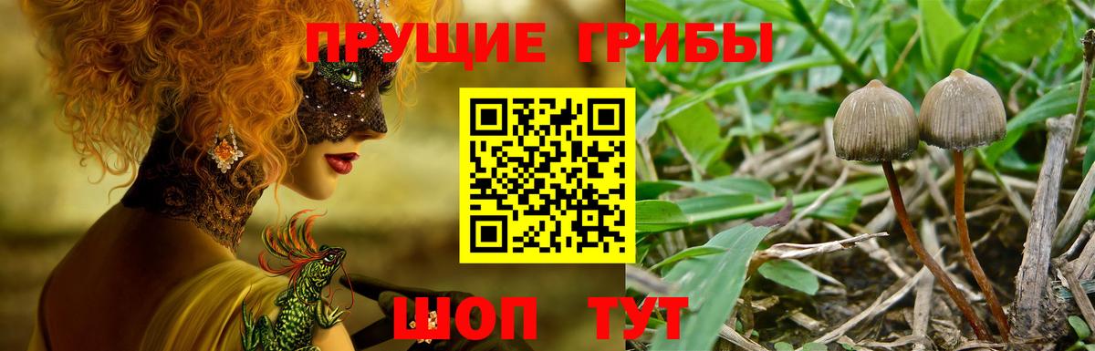 Галлюциногенные грибы мухоморы  Вход с VPN  дарнет шоп  Россия 