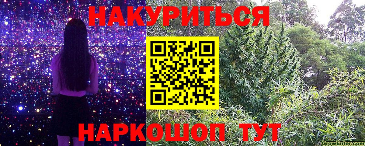 Бошки Шишки планчик  Каннабис сатива  Вход с VPN  Каннабис семена  Россия 